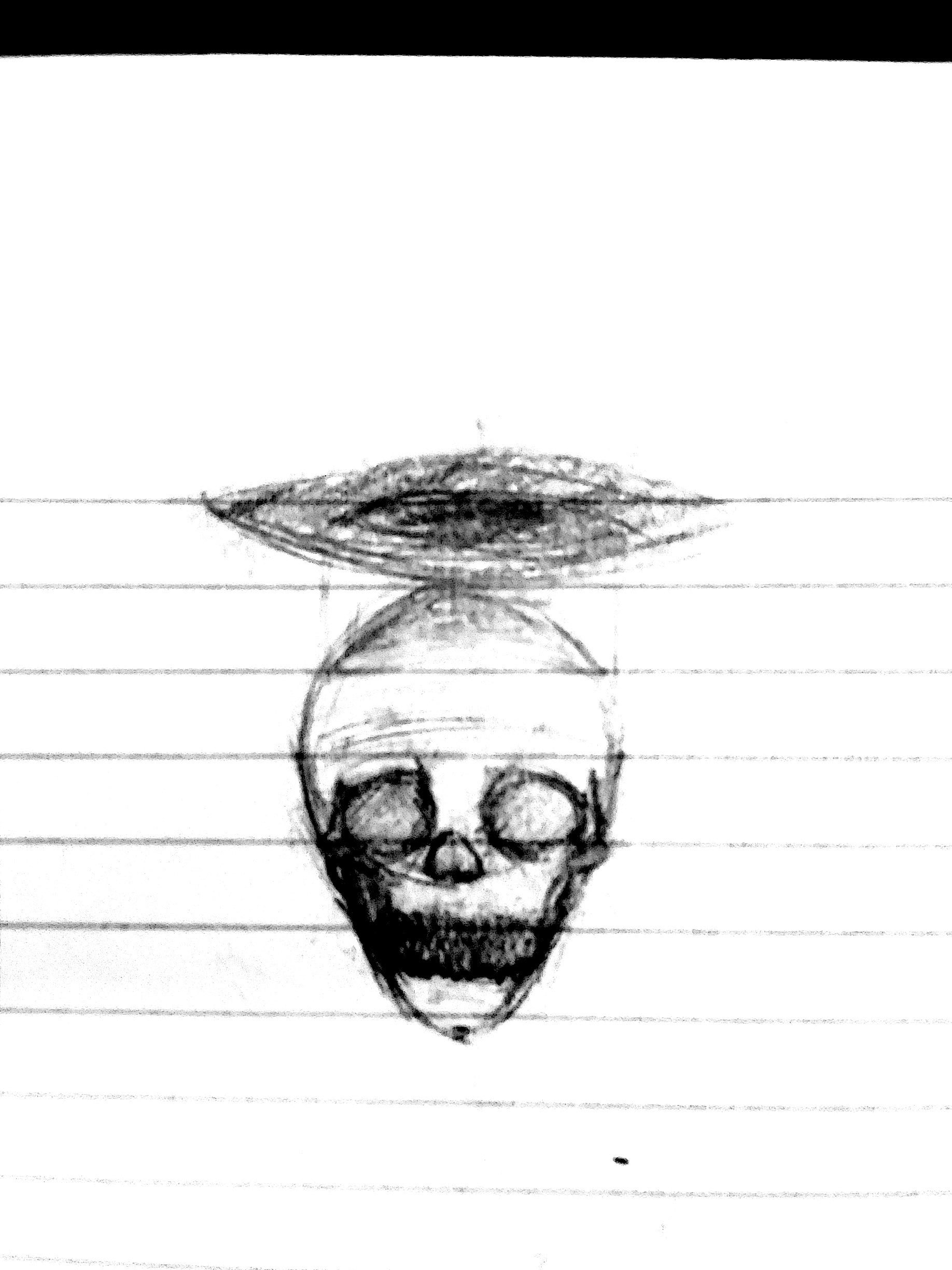 Skull drawing. Used for lighting practice.